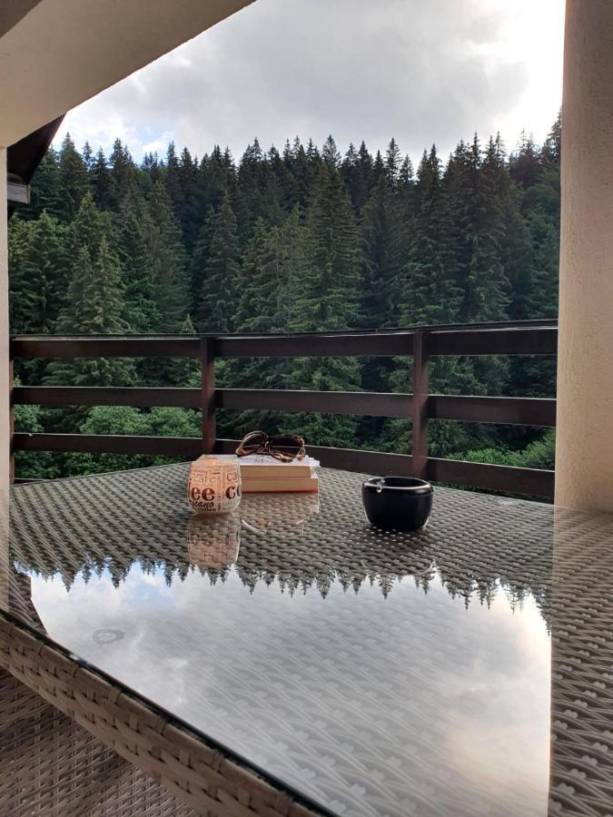 Apartament Ozon Poiana Brasov Luaran gambar