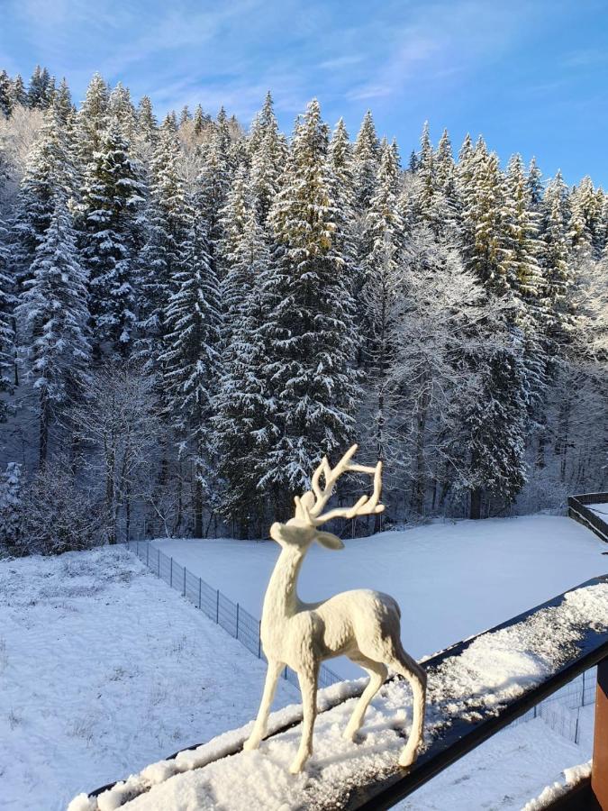 Apartament Ozon Poiana Brasov Luaran gambar